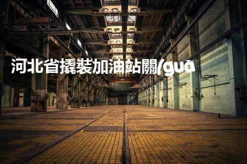 河北省撬裝加油站關(guān)鍵技術(shù)突破！化工廠拆除工程的新方法探索？
